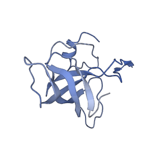 21639_6wdk_k_v1-2
Cryo-EM of elongating ribosome with EF-Tu*GTP elucidates tRNA proofreading (Non-cognate Structure V-A2)