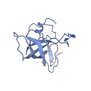 21639_6wdk_k_v1-3
Cryo-EM of elongating ribosome with EF-Tu*GTP elucidates tRNA proofreading (Non-cognate Structure V-A2)