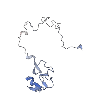 21639_6wdk_l_v1-3
Cryo-EM of elongating ribosome with EF-Tu*GTP elucidates tRNA proofreading (Non-cognate Structure V-A2)