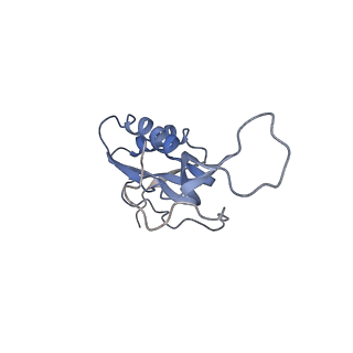 21639_6wdk_m_v1-2
Cryo-EM of elongating ribosome with EF-Tu*GTP elucidates tRNA proofreading (Non-cognate Structure V-A2)