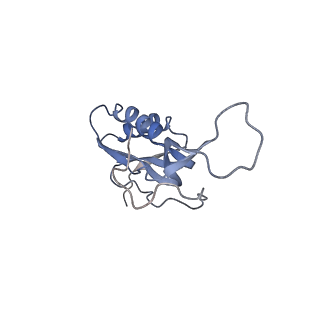 21639_6wdk_m_v1-3
Cryo-EM of elongating ribosome with EF-Tu*GTP elucidates tRNA proofreading (Non-cognate Structure V-A2)