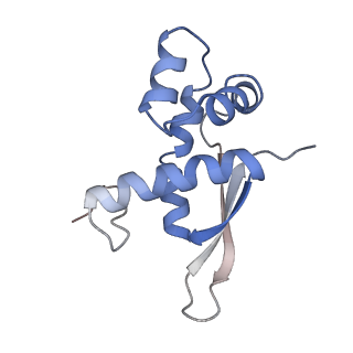 21639_6wdk_n_v1-2
Cryo-EM of elongating ribosome with EF-Tu*GTP elucidates tRNA proofreading (Non-cognate Structure V-A2)