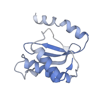 21639_6wdk_o_v1-2
Cryo-EM of elongating ribosome with EF-Tu*GTP elucidates tRNA proofreading (Non-cognate Structure V-A2)