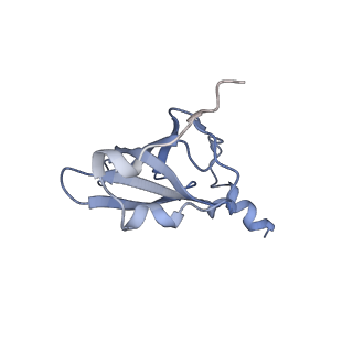 21639_6wdk_p_v1-2
Cryo-EM of elongating ribosome with EF-Tu*GTP elucidates tRNA proofreading (Non-cognate Structure V-A2)