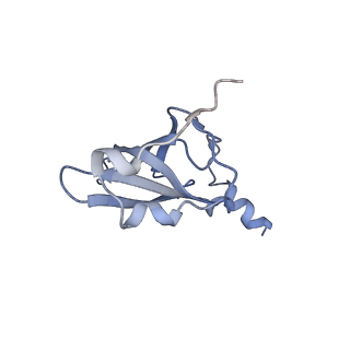 21639_6wdk_p_v1-3
Cryo-EM of elongating ribosome with EF-Tu*GTP elucidates tRNA proofreading (Non-cognate Structure V-A2)