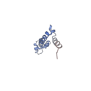 21639_6wdk_q_v1-3
Cryo-EM of elongating ribosome with EF-Tu*GTP elucidates tRNA proofreading (Non-cognate Structure V-A2)