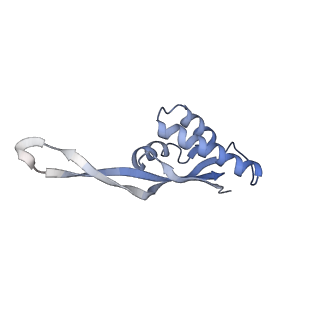 21639_6wdk_s_v1-3
Cryo-EM of elongating ribosome with EF-Tu*GTP elucidates tRNA proofreading (Non-cognate Structure V-A2)