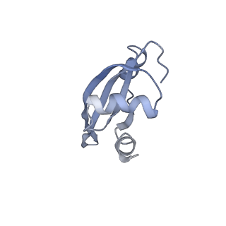 21639_6wdk_t_v1-3
Cryo-EM of elongating ribosome with EF-Tu*GTP elucidates tRNA proofreading (Non-cognate Structure V-A2)