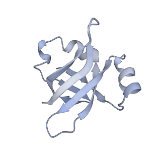 21639_6wdk_v_v1-2
Cryo-EM of elongating ribosome with EF-Tu*GTP elucidates tRNA proofreading (Non-cognate Structure V-A2)