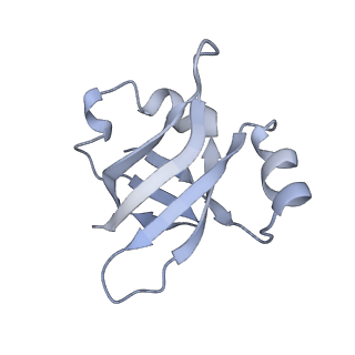 21639_6wdk_v_v1-3
Cryo-EM of elongating ribosome with EF-Tu*GTP elucidates tRNA proofreading (Non-cognate Structure V-A2)