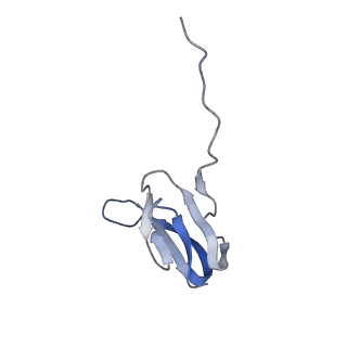 21639_6wdk_w_v1-2
Cryo-EM of elongating ribosome with EF-Tu*GTP elucidates tRNA proofreading (Non-cognate Structure V-A2)