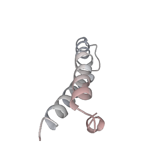 21639_6wdk_y_v1-3
Cryo-EM of elongating ribosome with EF-Tu*GTP elucidates tRNA proofreading (Non-cognate Structure V-A2)