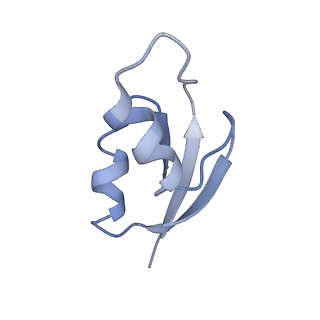 21639_6wdk_z_v1-2
Cryo-EM of elongating ribosome with EF-Tu*GTP elucidates tRNA proofreading (Non-cognate Structure V-A2)