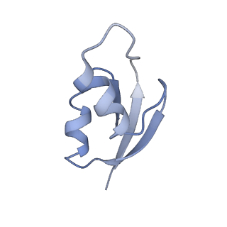 21639_6wdk_z_v1-3
Cryo-EM of elongating ribosome with EF-Tu*GTP elucidates tRNA proofreading (Non-cognate Structure V-A2)