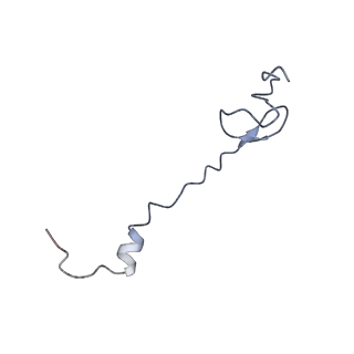 21640_6wdl_B_v1-3
Cryo-EM of elongating ribosome with EF-Tu*GTP elucidates tRNA proofreading (Non-cognate Structure V-B1)