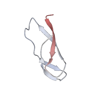 21640_6wdl_C_v1-3
Cryo-EM of elongating ribosome with EF-Tu*GTP elucidates tRNA proofreading (Non-cognate Structure V-B1)