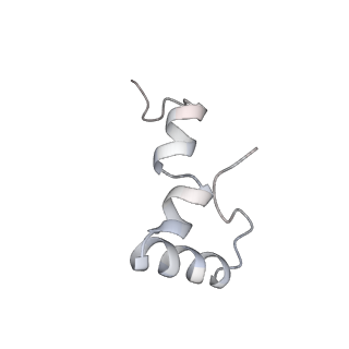 21640_6wdl_D_v1-2
Cryo-EM of elongating ribosome with EF-Tu*GTP elucidates tRNA proofreading (Non-cognate Structure V-B1)