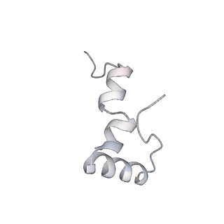 21640_6wdl_D_v1-3
Cryo-EM of elongating ribosome with EF-Tu*GTP elucidates tRNA proofreading (Non-cognate Structure V-B1)