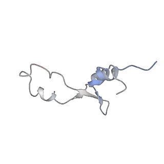 21640_6wdl_E_v1-2
Cryo-EM of elongating ribosome with EF-Tu*GTP elucidates tRNA proofreading (Non-cognate Structure V-B1)