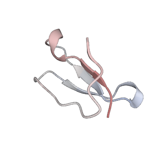 21640_6wdl_F_v1-2
Cryo-EM of elongating ribosome with EF-Tu*GTP elucidates tRNA proofreading (Non-cognate Structure V-B1)