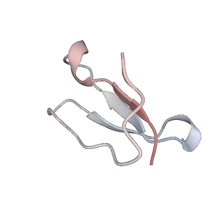 21640_6wdl_F_v1-3
Cryo-EM of elongating ribosome with EF-Tu*GTP elucidates tRNA proofreading (Non-cognate Structure V-B1)