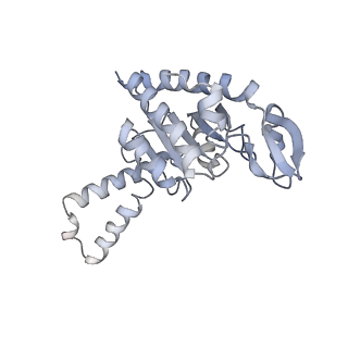 21640_6wdl_G_v1-2
Cryo-EM of elongating ribosome with EF-Tu*GTP elucidates tRNA proofreading (Non-cognate Structure V-B1)