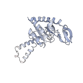 21640_6wdl_G_v1-3
Cryo-EM of elongating ribosome with EF-Tu*GTP elucidates tRNA proofreading (Non-cognate Structure V-B1)