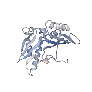 21640_6wdl_H_v1-2
Cryo-EM of elongating ribosome with EF-Tu*GTP elucidates tRNA proofreading (Non-cognate Structure V-B1)