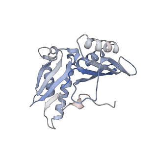 21640_6wdl_H_v1-3
Cryo-EM of elongating ribosome with EF-Tu*GTP elucidates tRNA proofreading (Non-cognate Structure V-B1)