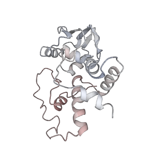 21640_6wdl_I_v1-2
Cryo-EM of elongating ribosome with EF-Tu*GTP elucidates tRNA proofreading (Non-cognate Structure V-B1)