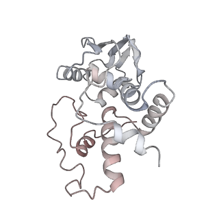 21640_6wdl_I_v1-3
Cryo-EM of elongating ribosome with EF-Tu*GTP elucidates tRNA proofreading (Non-cognate Structure V-B1)