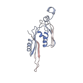 21640_6wdl_J_v1-2
Cryo-EM of elongating ribosome with EF-Tu*GTP elucidates tRNA proofreading (Non-cognate Structure V-B1)