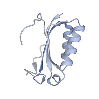 21640_6wdl_K_v1-2
Cryo-EM of elongating ribosome with EF-Tu*GTP elucidates tRNA proofreading (Non-cognate Structure V-B1)
