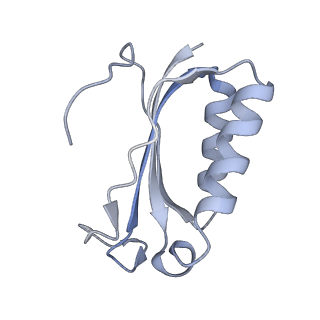 21640_6wdl_K_v1-3
Cryo-EM of elongating ribosome with EF-Tu*GTP elucidates tRNA proofreading (Non-cognate Structure V-B1)