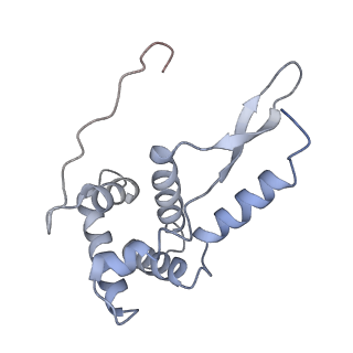 21640_6wdl_L_v1-2
Cryo-EM of elongating ribosome with EF-Tu*GTP elucidates tRNA proofreading (Non-cognate Structure V-B1)