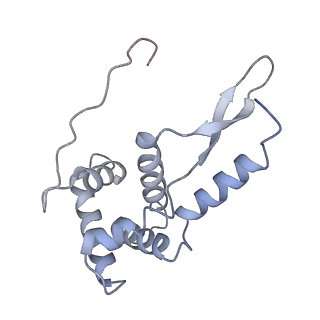 21640_6wdl_L_v1-3
Cryo-EM of elongating ribosome with EF-Tu*GTP elucidates tRNA proofreading (Non-cognate Structure V-B1)