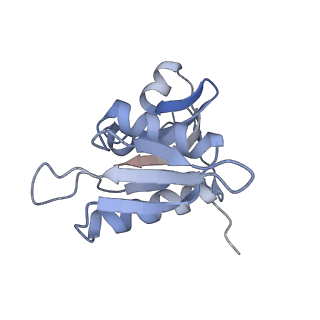 21640_6wdl_M_v1-2
Cryo-EM of elongating ribosome with EF-Tu*GTP elucidates tRNA proofreading (Non-cognate Structure V-B1)