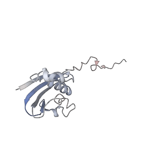 21640_6wdl_N_v1-2
Cryo-EM of elongating ribosome with EF-Tu*GTP elucidates tRNA proofreading (Non-cognate Structure V-B1)