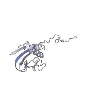 21640_6wdl_N_v1-3
Cryo-EM of elongating ribosome with EF-Tu*GTP elucidates tRNA proofreading (Non-cognate Structure V-B1)