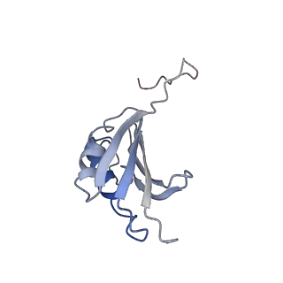 21640_6wdl_P_v1-2
Cryo-EM of elongating ribosome with EF-Tu*GTP elucidates tRNA proofreading (Non-cognate Structure V-B1)