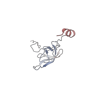 21640_6wdl_Q_v1-2
Cryo-EM of elongating ribosome with EF-Tu*GTP elucidates tRNA proofreading (Non-cognate Structure V-B1)