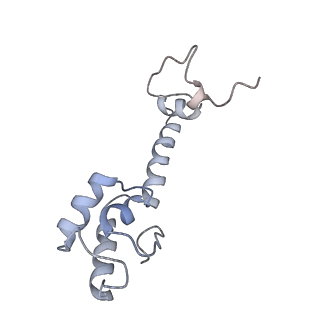 21640_6wdl_R_v1-2
Cryo-EM of elongating ribosome with EF-Tu*GTP elucidates tRNA proofreading (Non-cognate Structure V-B1)