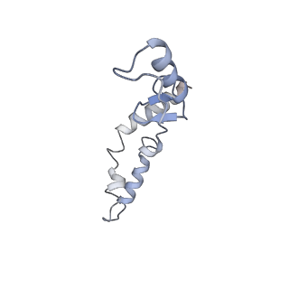 21640_6wdl_S_v1-2
Cryo-EM of elongating ribosome with EF-Tu*GTP elucidates tRNA proofreading (Non-cognate Structure V-B1)