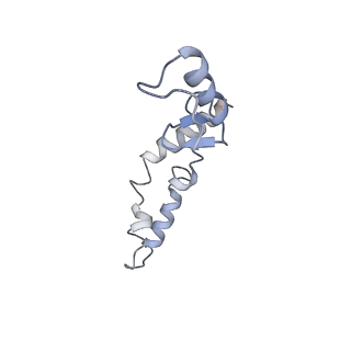 21640_6wdl_S_v1-3
Cryo-EM of elongating ribosome with EF-Tu*GTP elucidates tRNA proofreading (Non-cognate Structure V-B1)