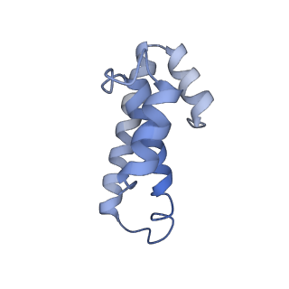 21640_6wdl_T_v1-2
Cryo-EM of elongating ribosome with EF-Tu*GTP elucidates tRNA proofreading (Non-cognate Structure V-B1)