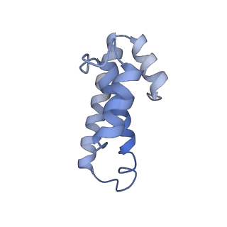 21640_6wdl_T_v1-3
Cryo-EM of elongating ribosome with EF-Tu*GTP elucidates tRNA proofreading (Non-cognate Structure V-B1)