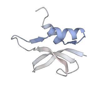 21640_6wdl_U_v1-2
Cryo-EM of elongating ribosome with EF-Tu*GTP elucidates tRNA proofreading (Non-cognate Structure V-B1)