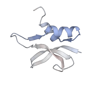 21640_6wdl_U_v1-3
Cryo-EM of elongating ribosome with EF-Tu*GTP elucidates tRNA proofreading (Non-cognate Structure V-B1)