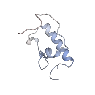 21640_6wdl_W_v1-2
Cryo-EM of elongating ribosome with EF-Tu*GTP elucidates tRNA proofreading (Non-cognate Structure V-B1)