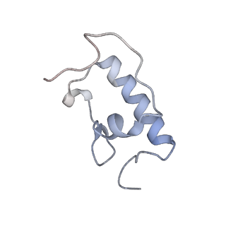 21640_6wdl_W_v1-3
Cryo-EM of elongating ribosome with EF-Tu*GTP elucidates tRNA proofreading (Non-cognate Structure V-B1)